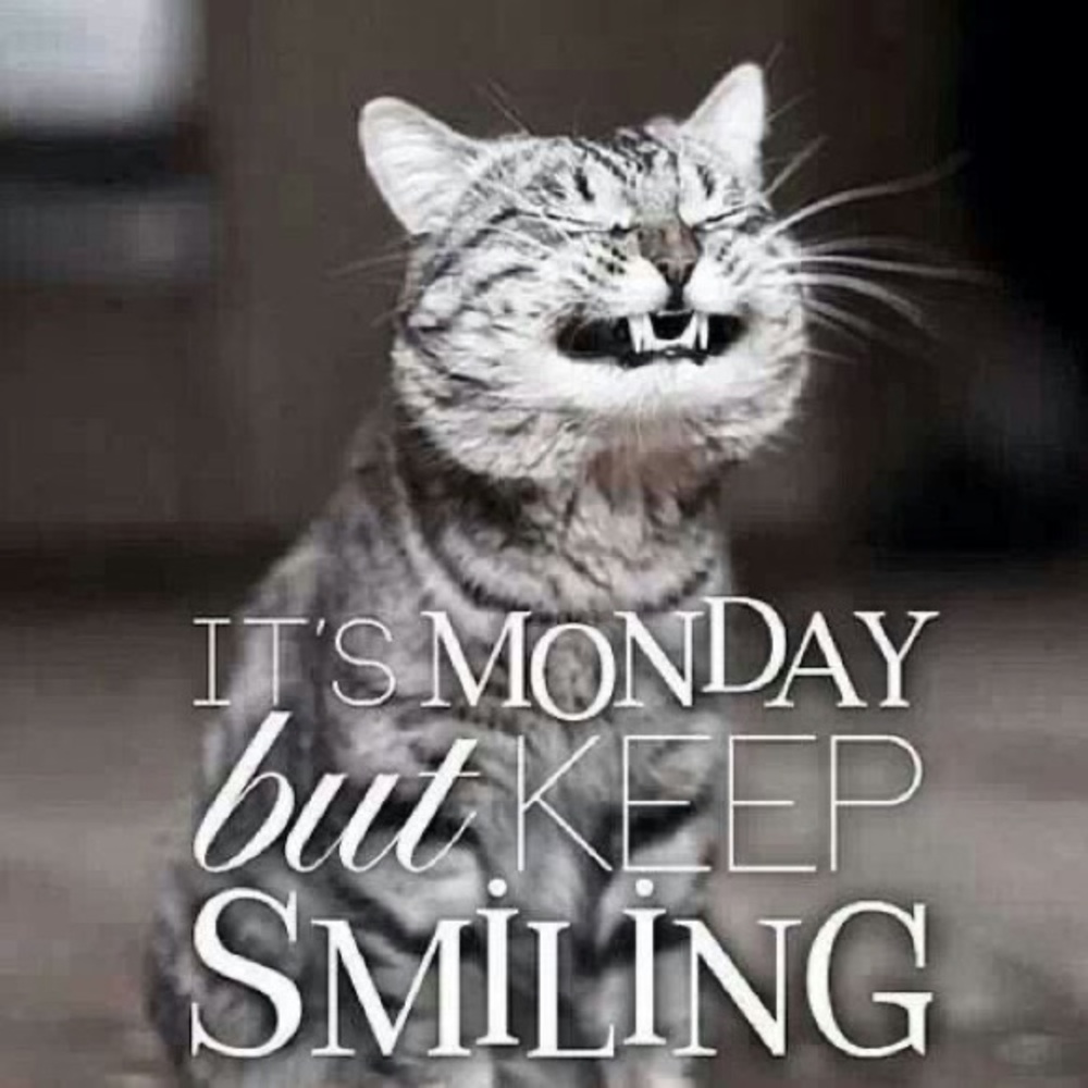 MONDAY
